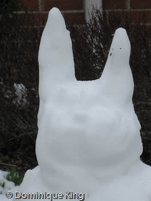 Snow Bunny or Spring in Michigan